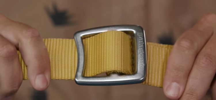 Webbed Belts for a Sporty Touch