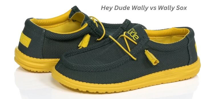 Hey Dude Wally vs Wally Sox